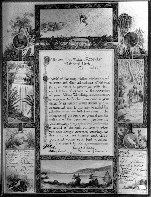 Mt Field Belcher Illuminated address cropped NS3195_1_2093