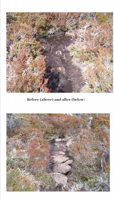 Mt Field East track work