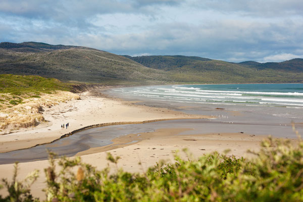 cloudybay-walk br is long weekend.jpg