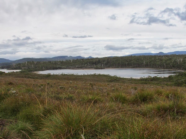 deb wace black swan lagoon hikingintasmania